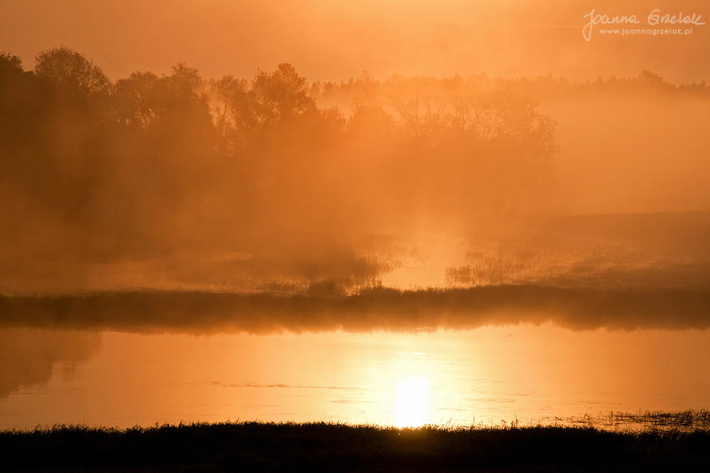 010_Biebrza - maj 2013.jpg